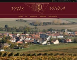 Vitis-vinea, groupement foncier viticole