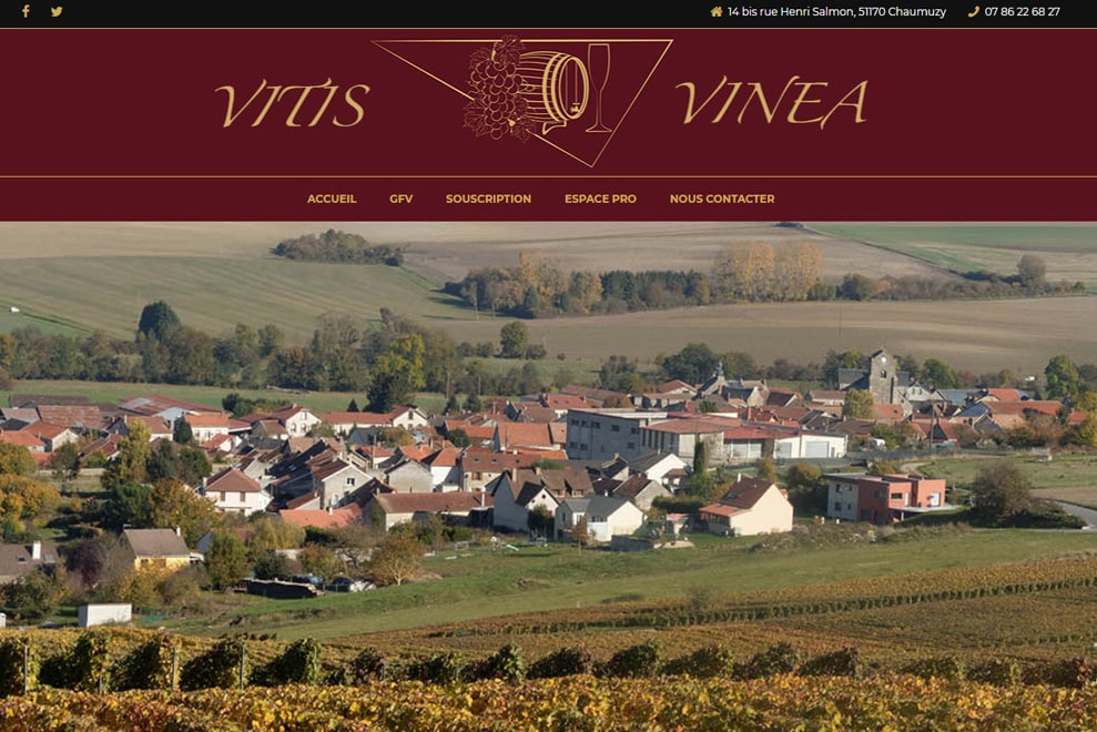 Vitis-vinea, groupement foncier viticole