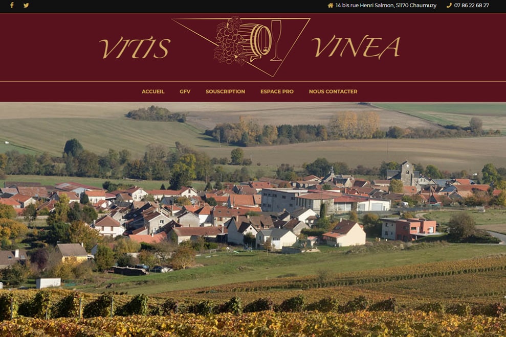 Vitis-vinea, groupement foncier viticole