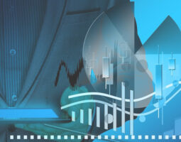 Bourse vs cryptomonnaies : où investir pour les débutants ?